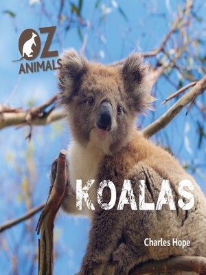 cover image of Koalas